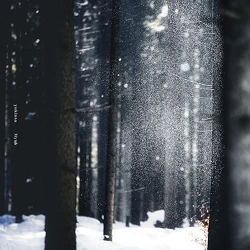 �W���P�b�g