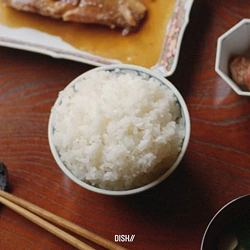 �W���P�b�g